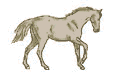 cheval au trot.gif (13542 octets)